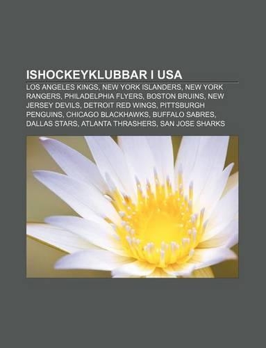 Ishockeyklubbar I USA