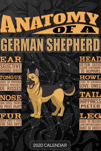 Anatomy Of A German Shepherd