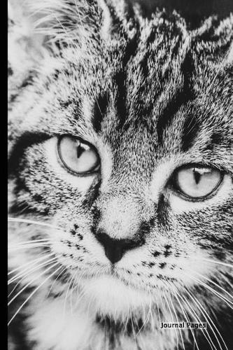 Journal Pages - Black White Cat (Bullet Journal)