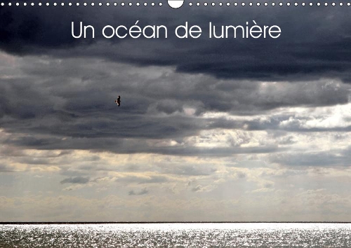Un océan de lumière 2019