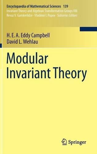 Modular Invariant Theory: (139 Encyclopaedia of Mathematical Sciences)