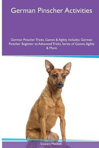 German Pinscher Activities German Pinscher Tricks, Games & Agility. Includes
