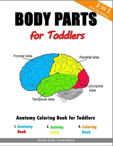 Body Parts for Toddlers: Anatomy Coloring Book for Toddlers