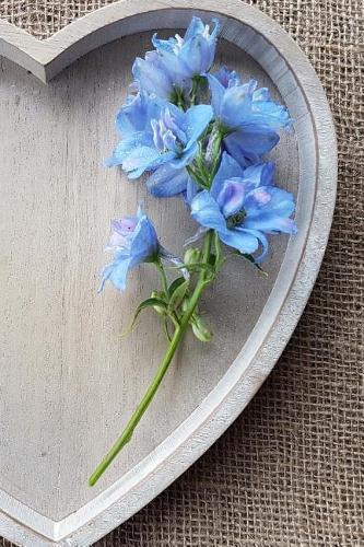 Blue Flowers in a Wooden Bowl Journal