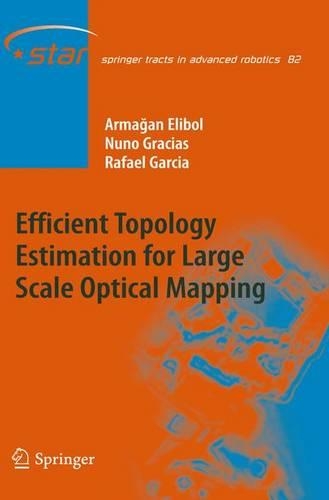 Efficient Topology Estimation for Large Scale Optical Mapping: (82 Springer Tracts in Advanced Robotics)