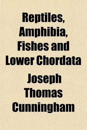 Reptiles, Amphibia, Fishes and Lower Chordata