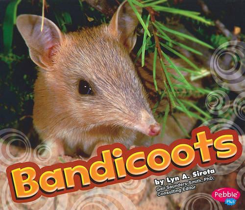 Bandicoots: (Australian Animals)