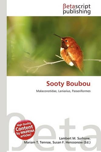 Sooty Boubou
