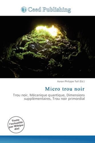 Micro Trou Noir