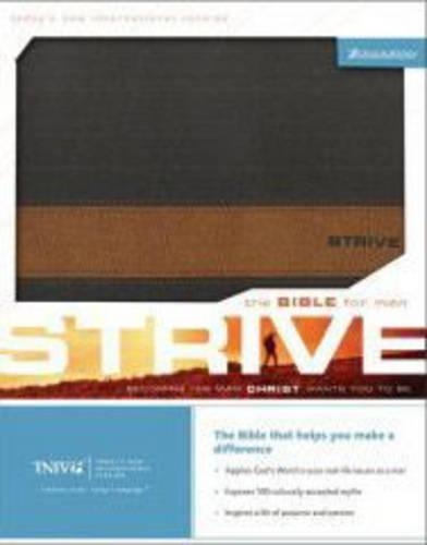 TNIV Strive