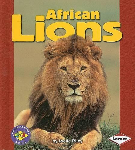 African Lions