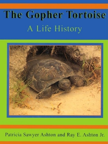The Gopher Tortoise