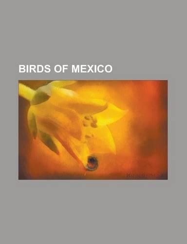 Birds of Mexico