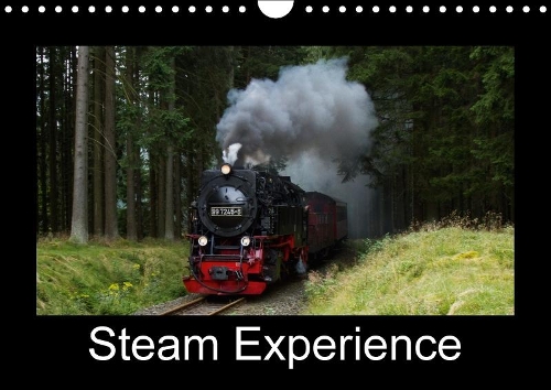 Steam Experience 2018