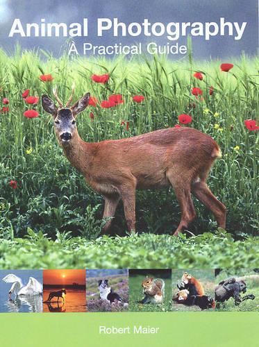 Animal Photography: A Practical Guide