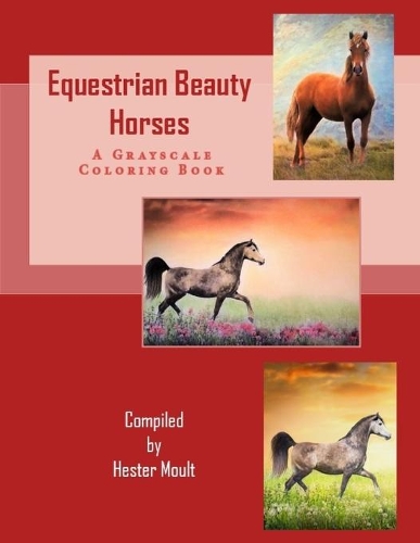 Equestrian Beauty