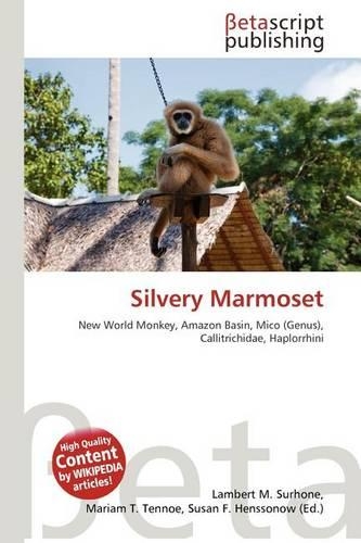 Silvery Marmoset: (English)