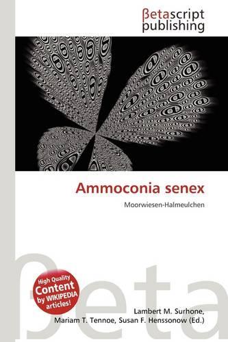 Ammoconia Senex