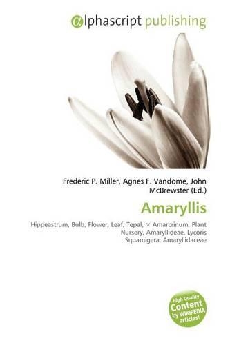 Amaryllis