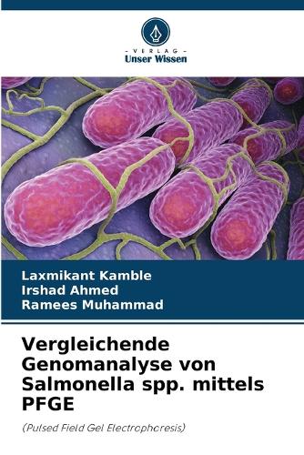 Vergleichende Genomanalyse von Salmonella spp. mittels PFGE