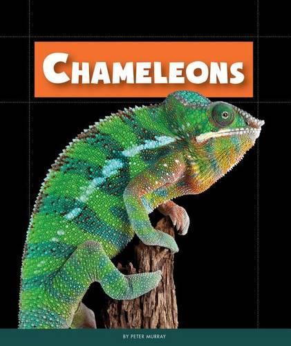 Chameleons: (Animals of the Rain Forest)