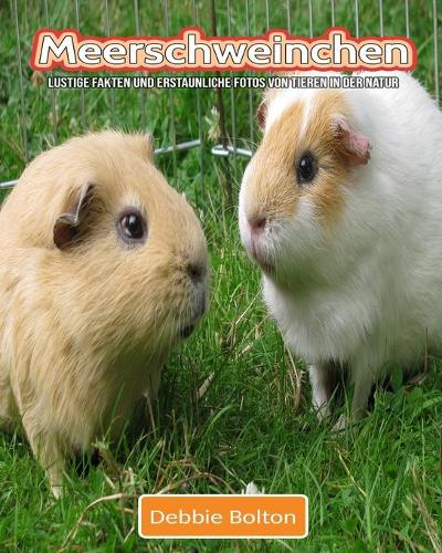 Meerschweinchen: Lustige Fakten und erstaunliche Fotos von Tieren in der Natur