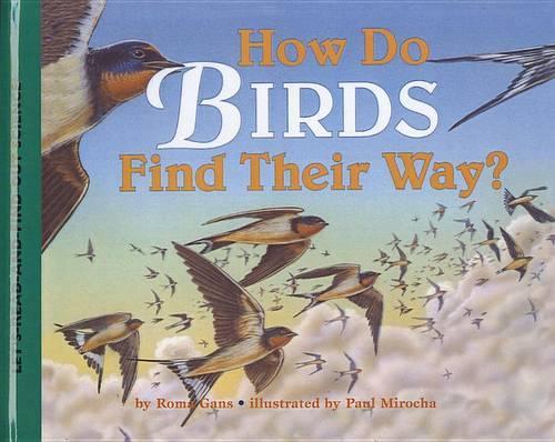 How Do Birds Find Their Way?