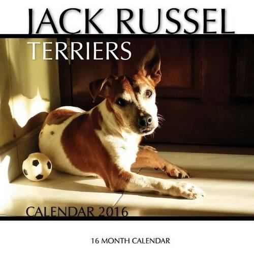 Jack Russel Terriers Calendar 2016: 16 Month Calendar(English)