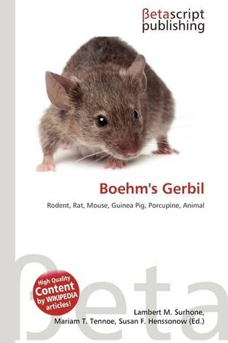 Boehm's Gerbil