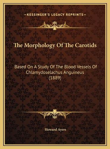 The Morphology Of The Carotids: Based On A Study Of The Blood Vessels Of Chlamydoselachus Anguineus (1889)(English)