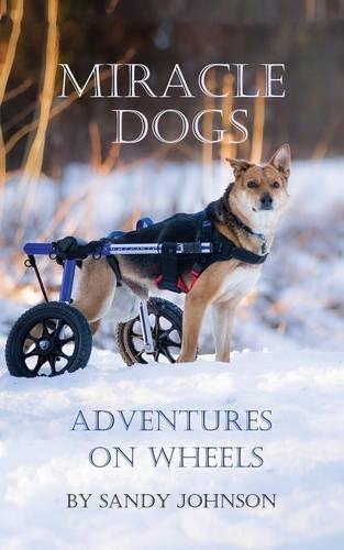 Miracle Dogs: (English)