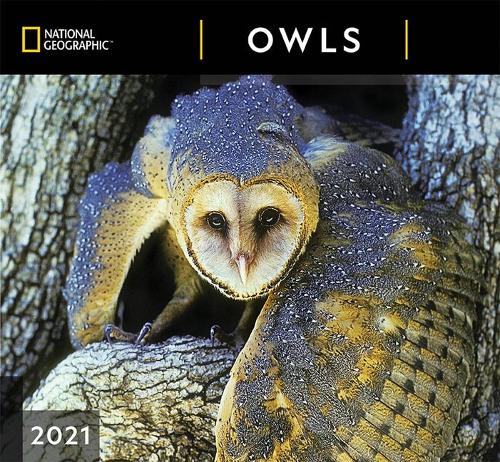 Cal 2021- National Geographic Owls Wall
