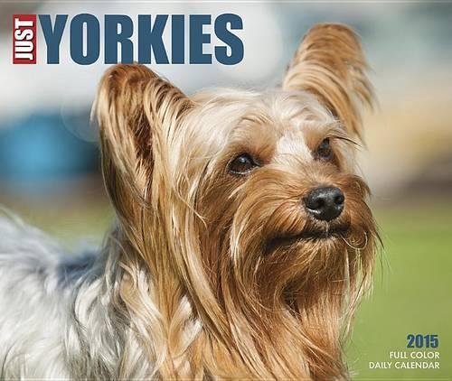 Just Yorkies Calendar