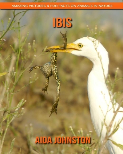 Ibis: Amazing Pictures & Fun Facts on Animals in Nature