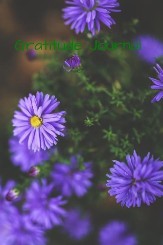 Gratitude Journal