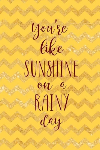 You're Like Sunshine On A Rainy Day