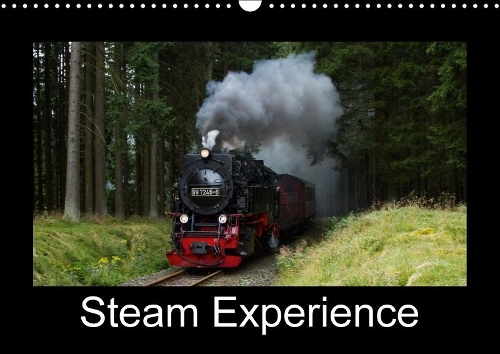 Steam Experience 2018