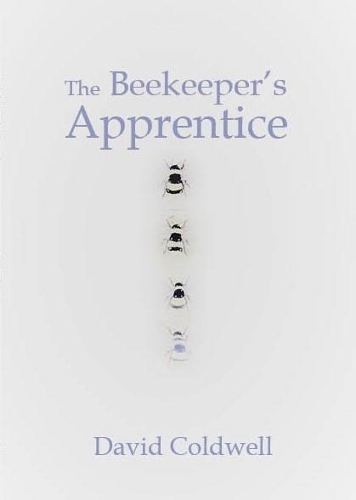 The Beekeeper's Apprentice