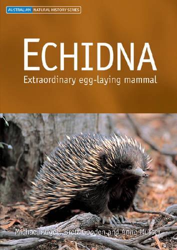 Echidna