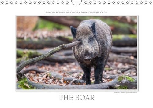 Emotional Moment: The Boar. UK-Version 2015