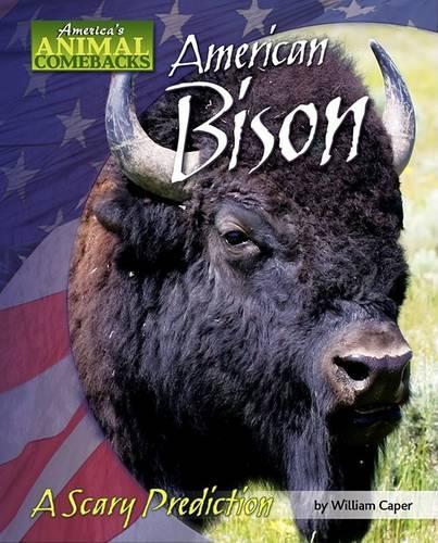 American Bison