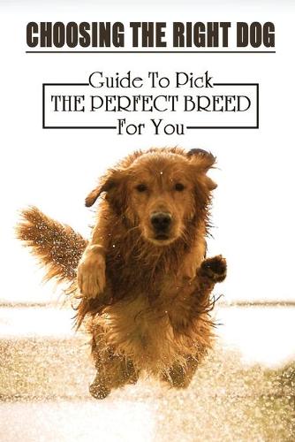 Choosing The Right Dog