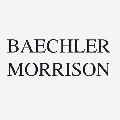 Baechler, Morrison: Black and White Paintings(English)