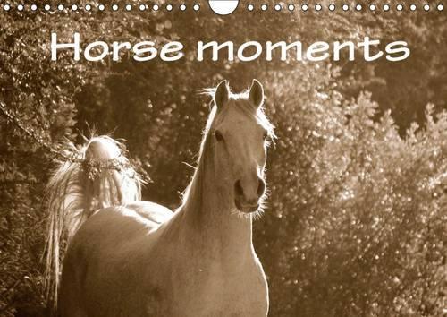 Horse moments 2016: Sepia photographs of different horses in South Africa, captured by photographer Anke van Wyk (www.germanpix.net).(Calvendo Animals)