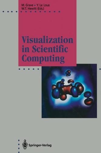 Visualization in Scientific Computing: (Focus on Computer Graphics)
