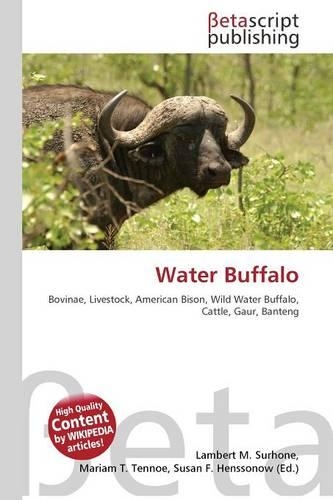 Water Buffalo