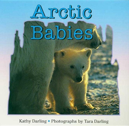 Arctic Babies
