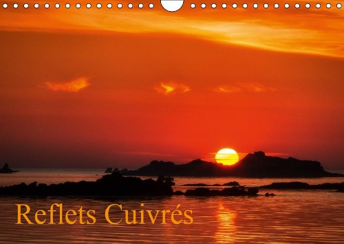 Reflets cuivrés 2019