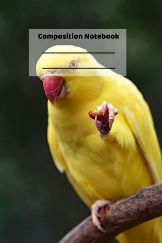 Composition Notebook: Cute Parrot Tropical Birds Vacation Themed Notebook or Journal