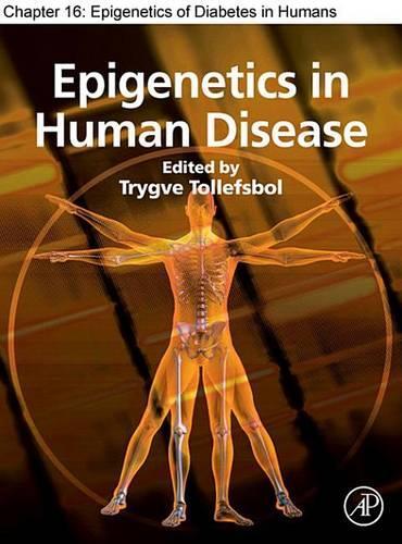 Postnatal Bone Growth